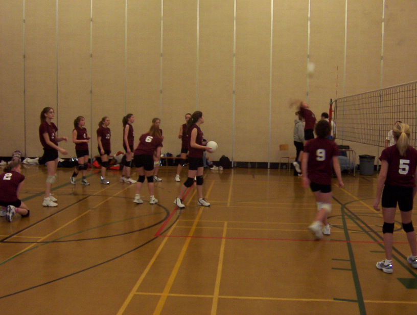 vball2.jpg